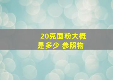 20克面粉大概是多少 参照物